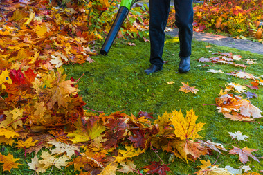 Local Bonney Lake commercial property maintenance in WA near 98391
